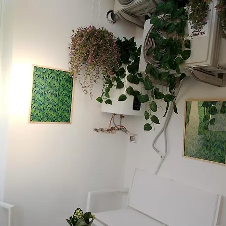 Apartment Oasis Downtown Bari