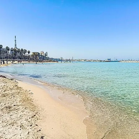 Oasis Downtown *